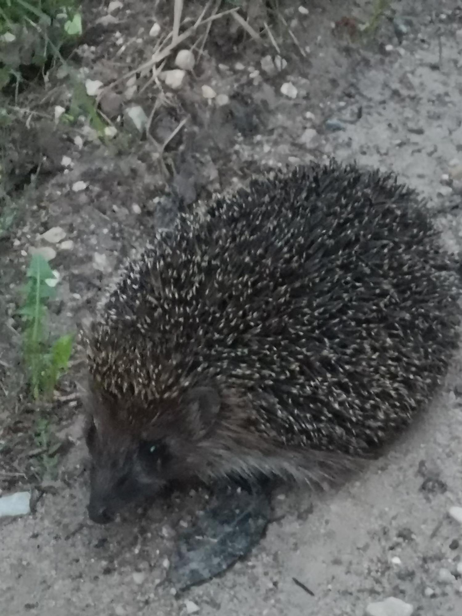 Willa Dvinumajas Balvi Zewnętrze zdjęcie