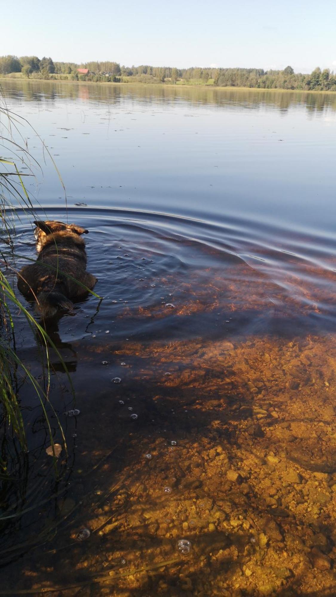 Willa Dvinumajas Balvi Zewnętrze zdjęcie